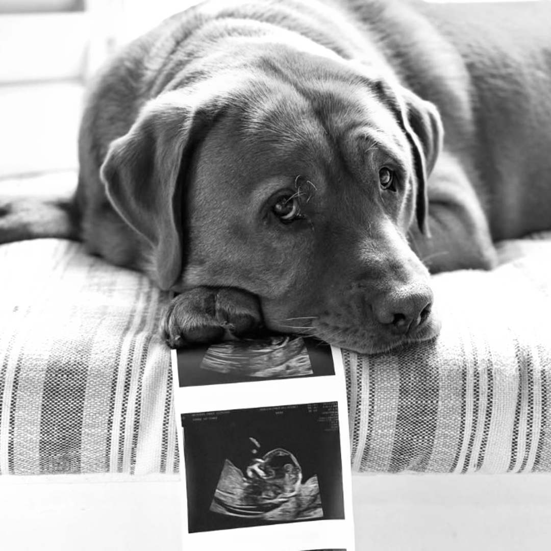 Photo shared by Carly for their Babylist baby registry.