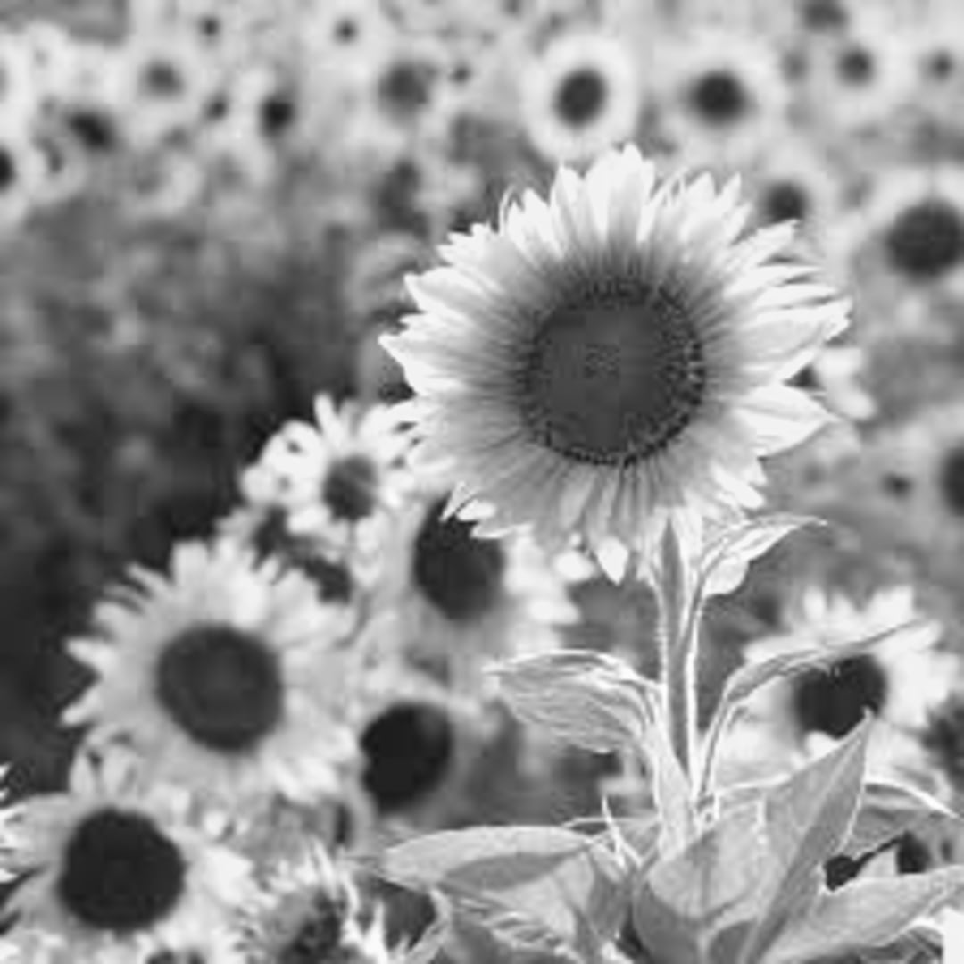 Photo shared by CECI for their Babylist baby registry.