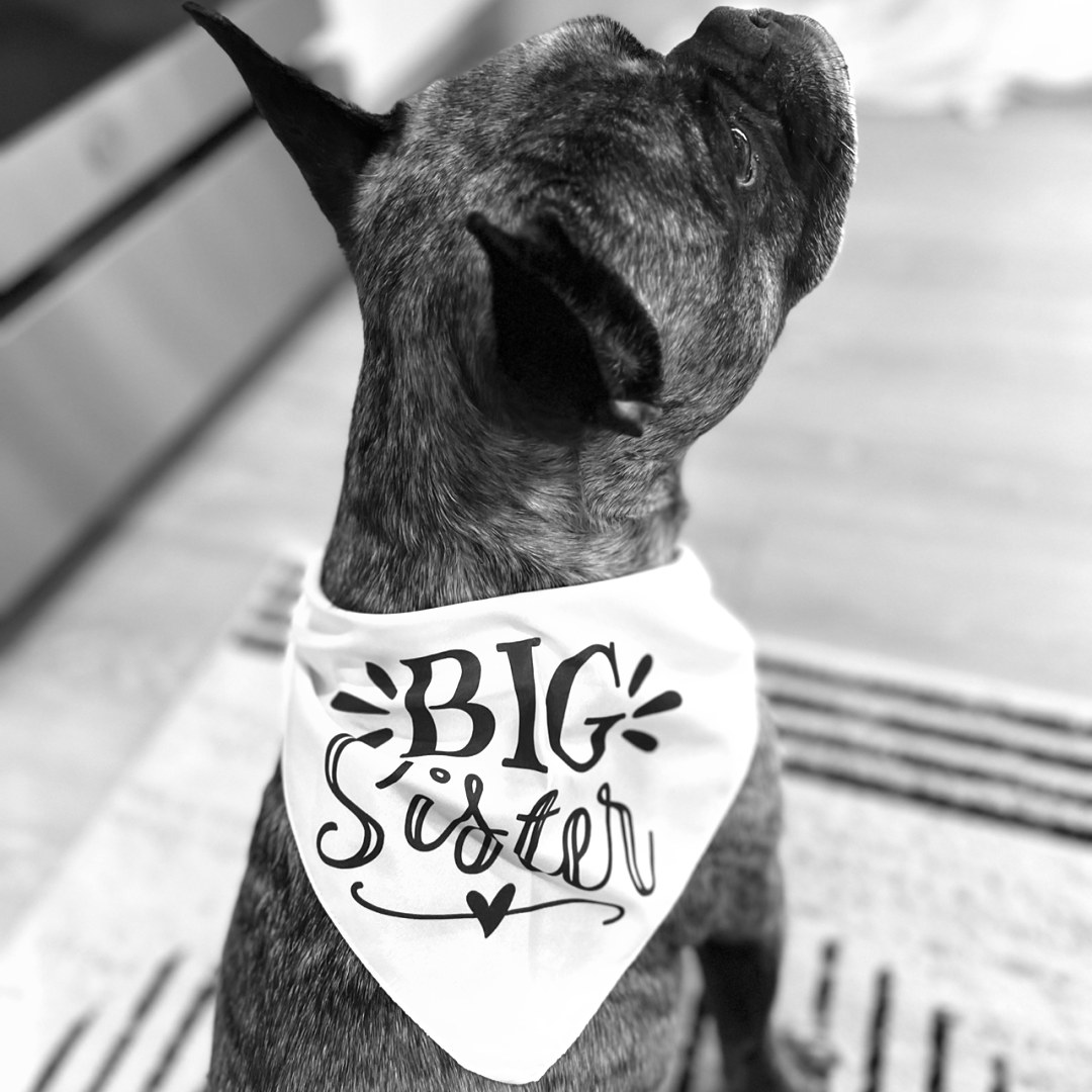 Photo shared by Ines for their Babylist baby registry.