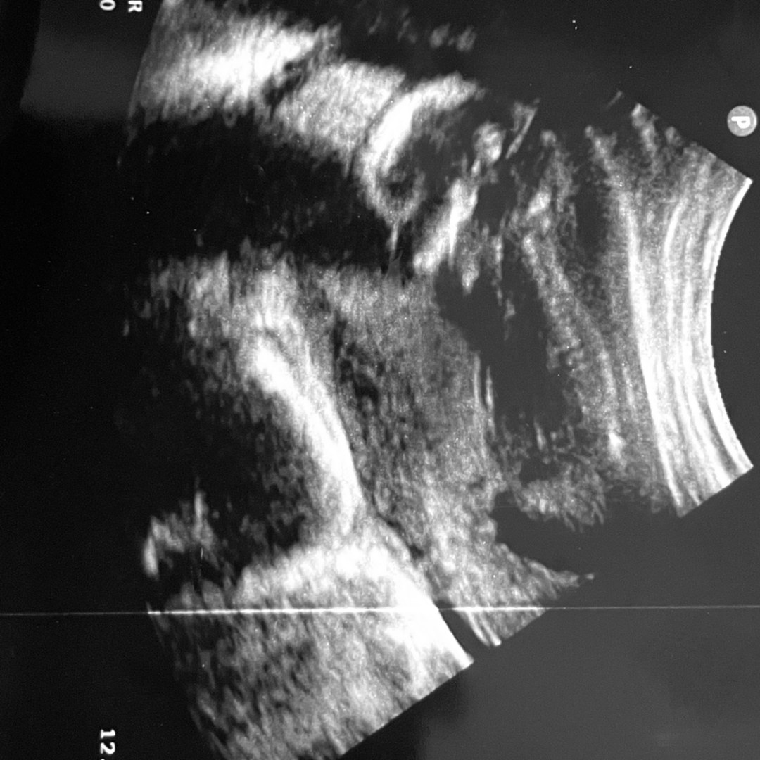 Photo shared by Jordan for their Babylist baby registry.