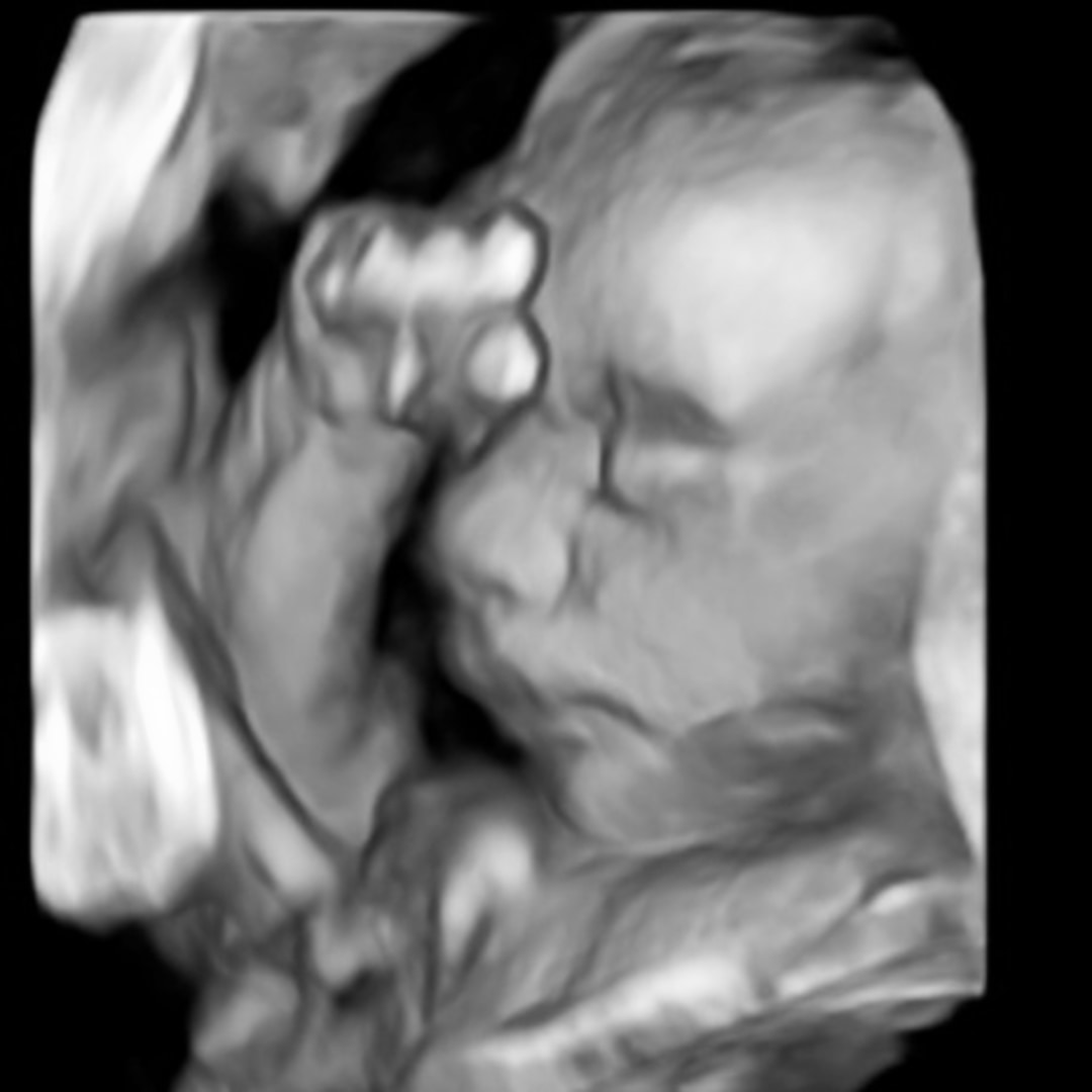 Photo shared by Ashley for their Babylist baby registry.