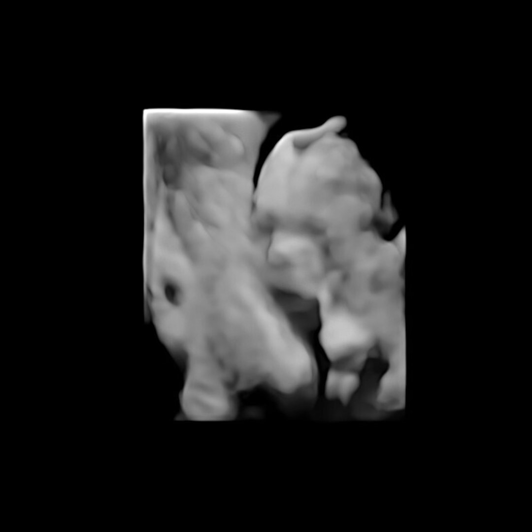 Photo shared by Georgia for their Babylist baby registry.