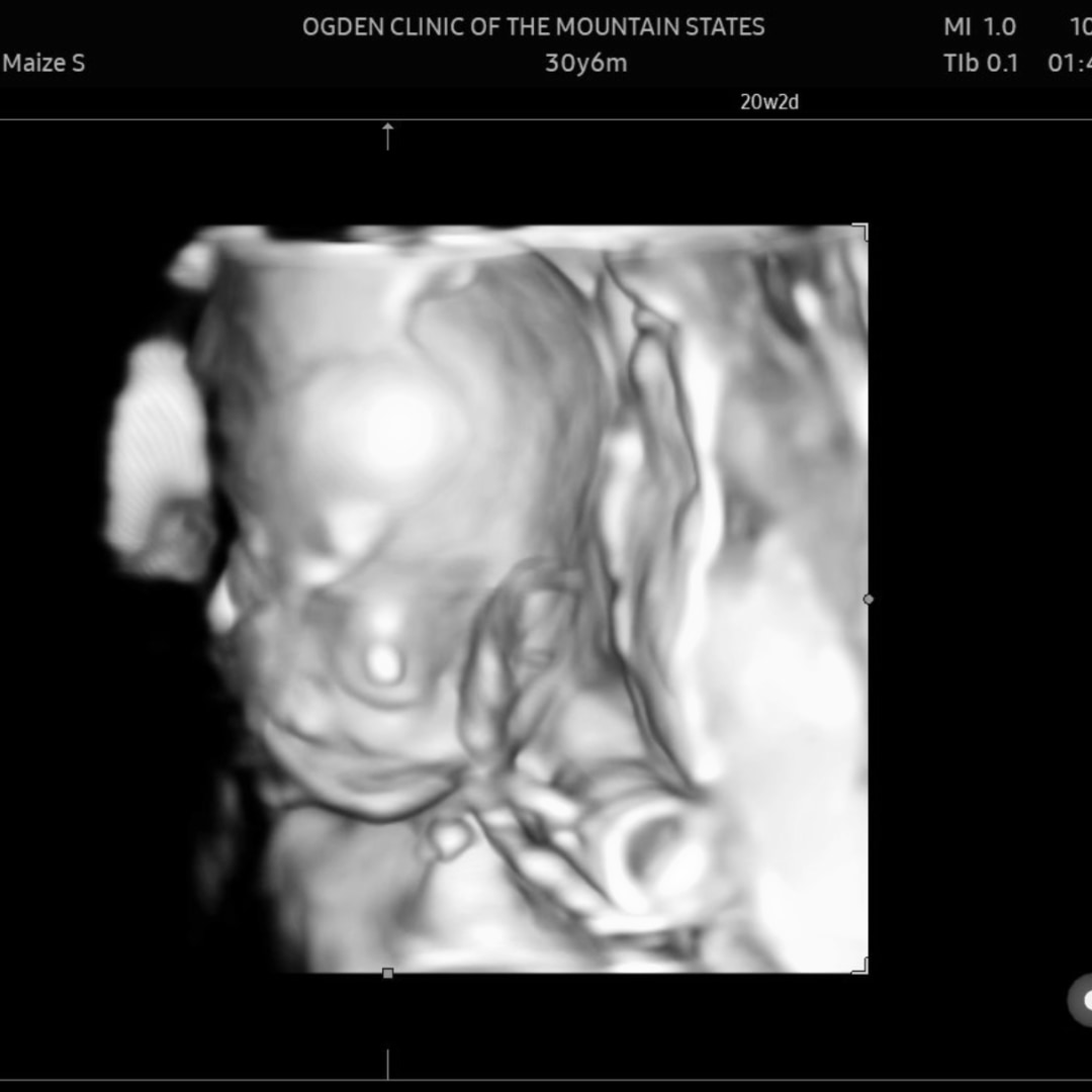 Photo shared by Maize for their Babylist baby registry.