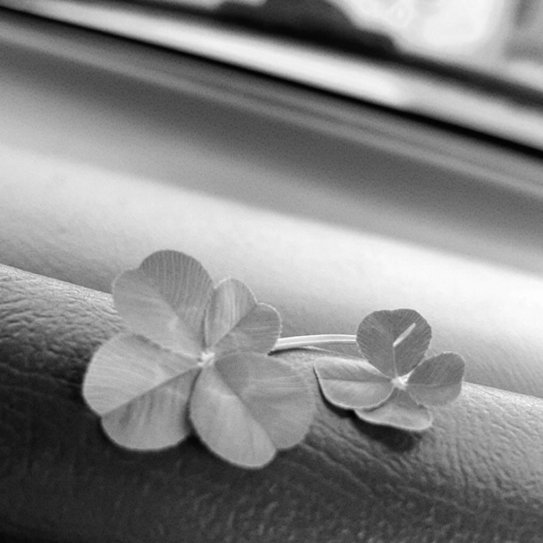 Photo shared by Isabel for their Babylist baby registry.