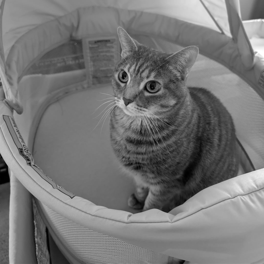 Photo shared by Allie for their Babylist baby registry.