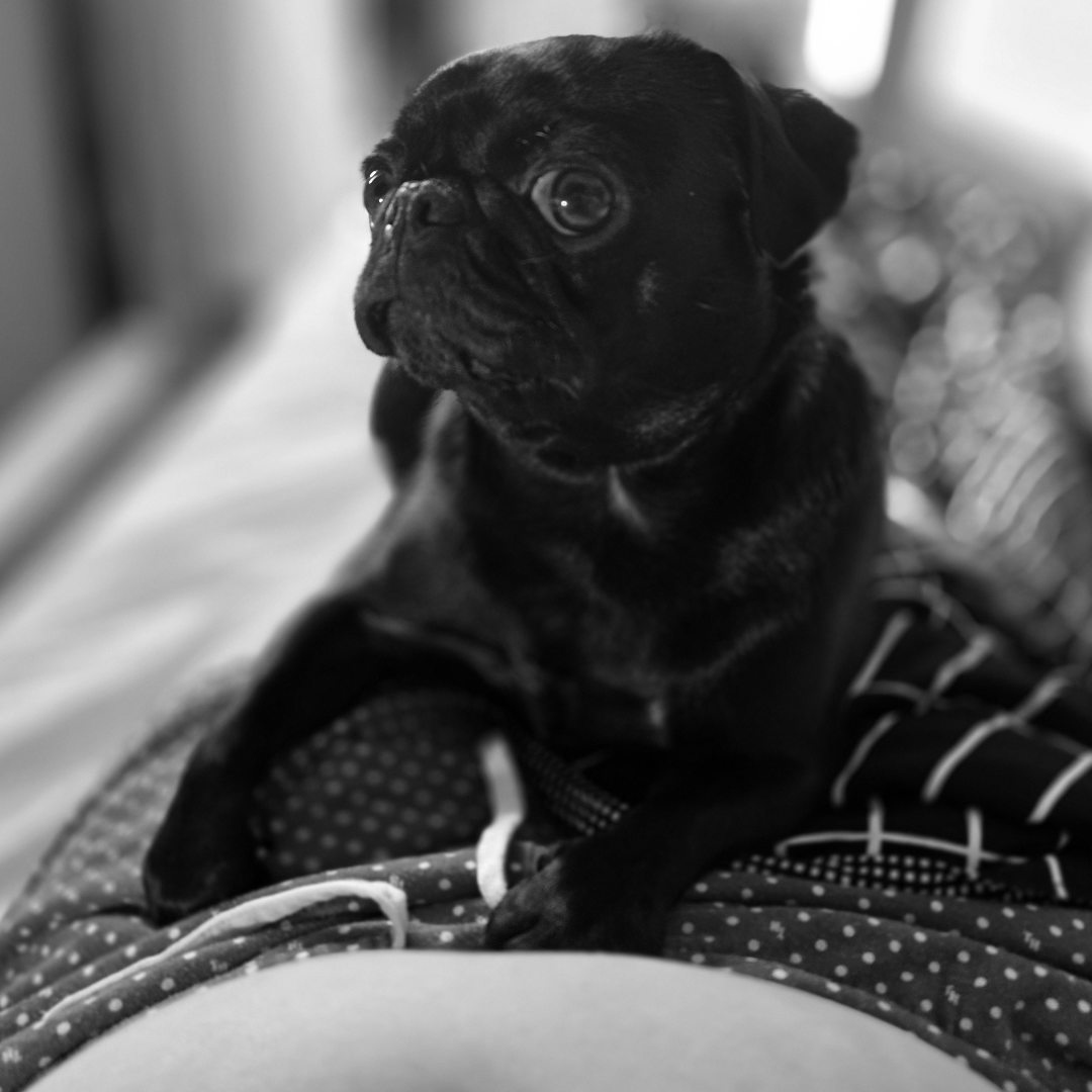 Photo shared by Sara for their Babylist baby registry.