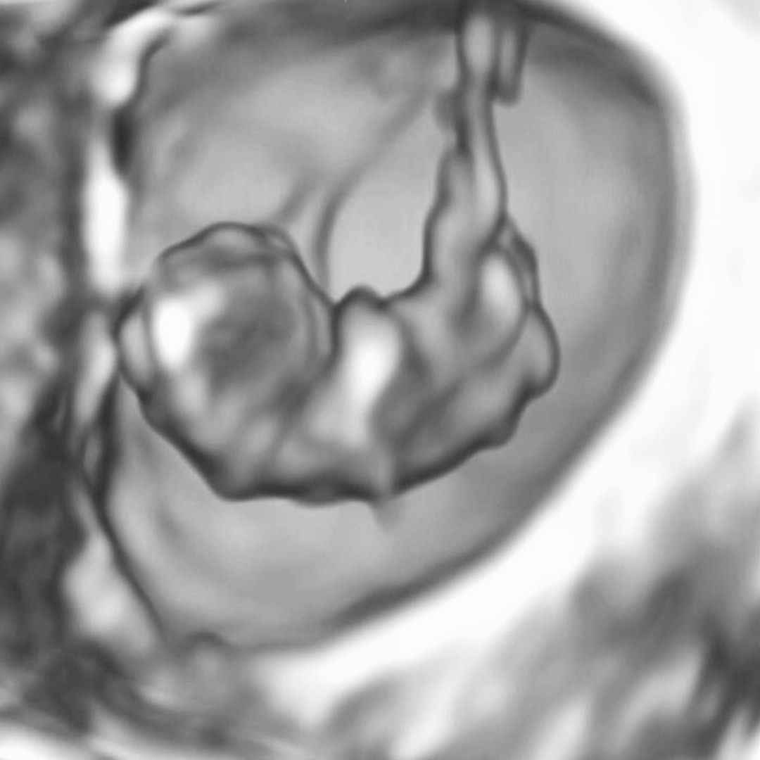 Photo shared by Jenna for their Babylist baby registry.