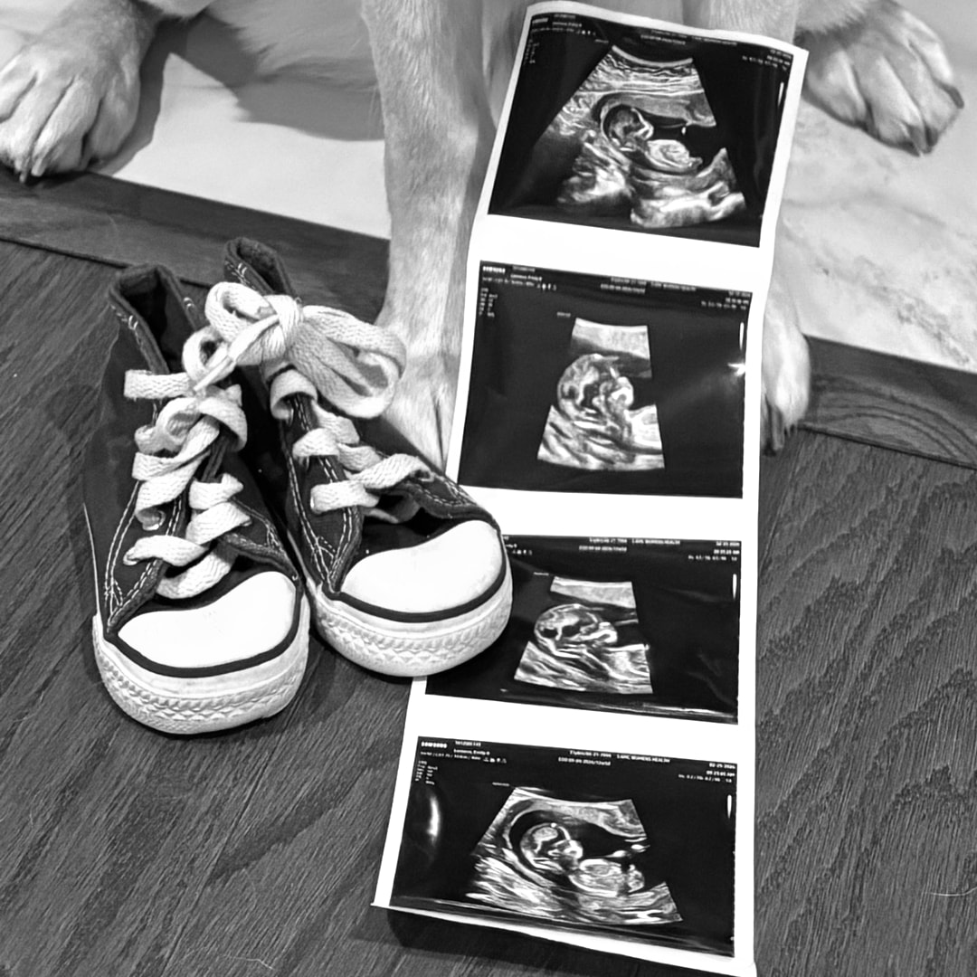 Photo shared by Emily for their Babylist baby registry.