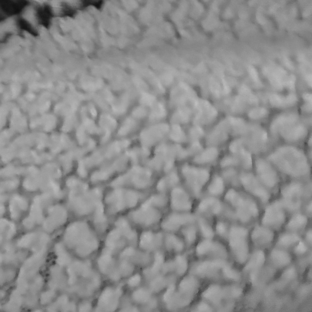 Photo shared by Aiesha for their Babylist baby registry.