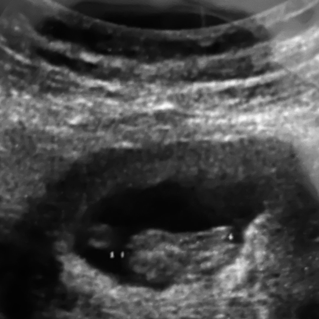 Photo shared by Lizeth for their Babylist baby registry.