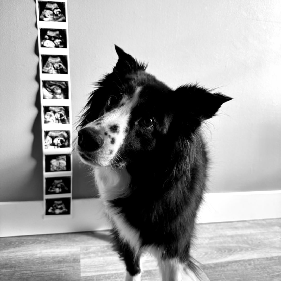 Photo shared by Emma for their Babylist baby registry.