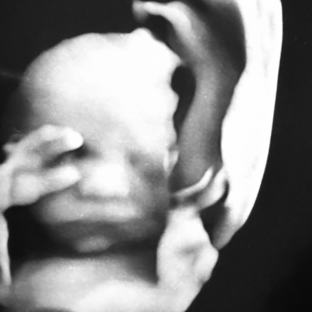 Photo shared by Christina for their Babylist baby registry.