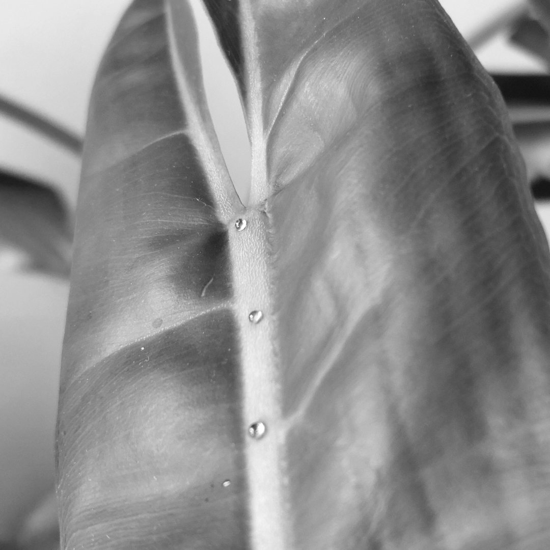 Photo shared by Katie for their Babylist baby registry.