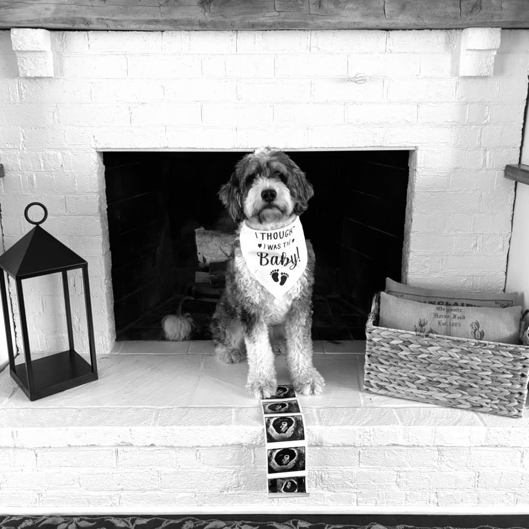 Photo shared by Melissa for their Babylist baby registry.