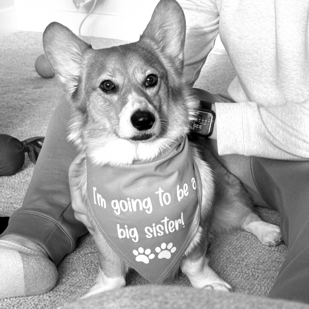 Photo shared by Arielle for their Babylist baby registry.