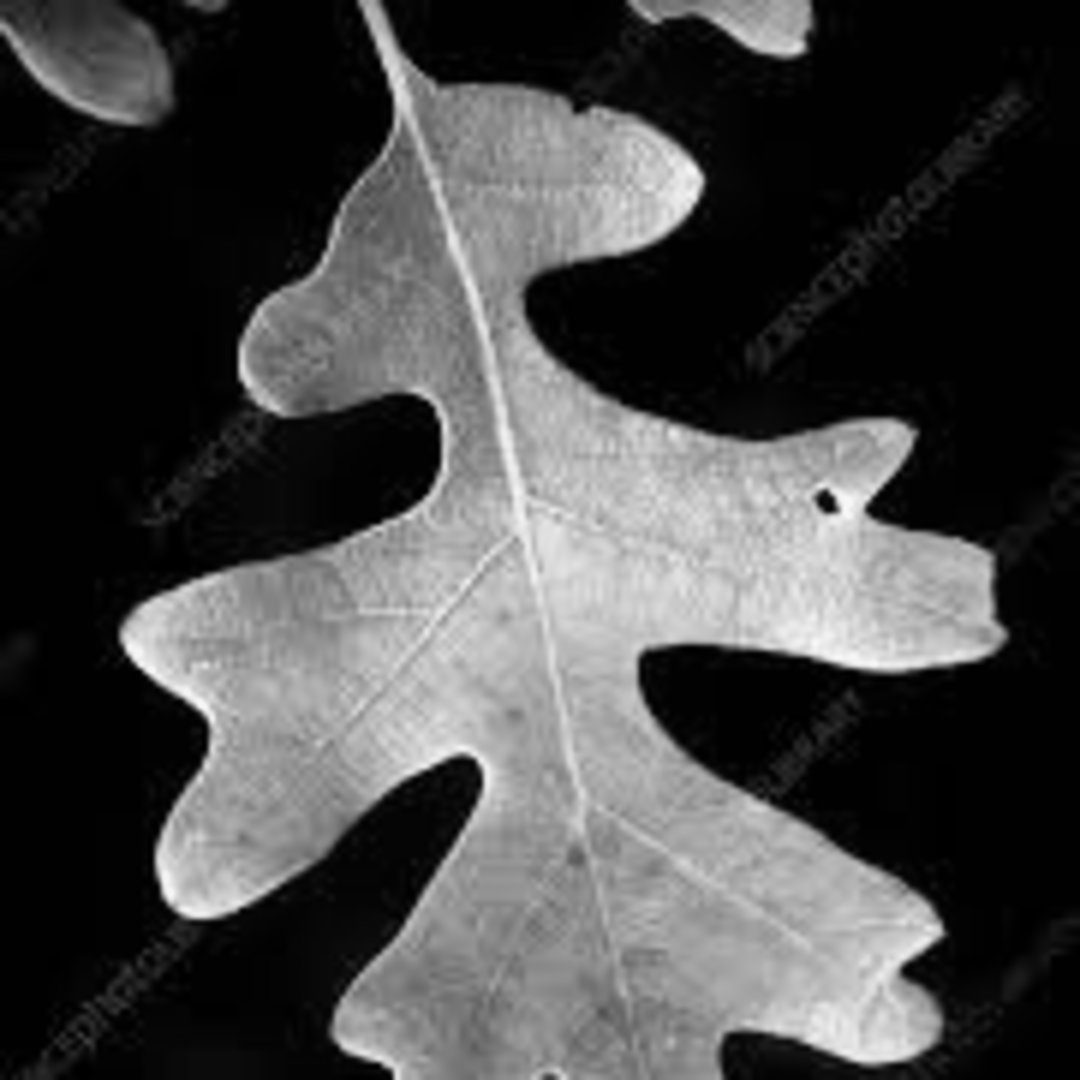 Photo shared by Katie for their Babylist baby registry.