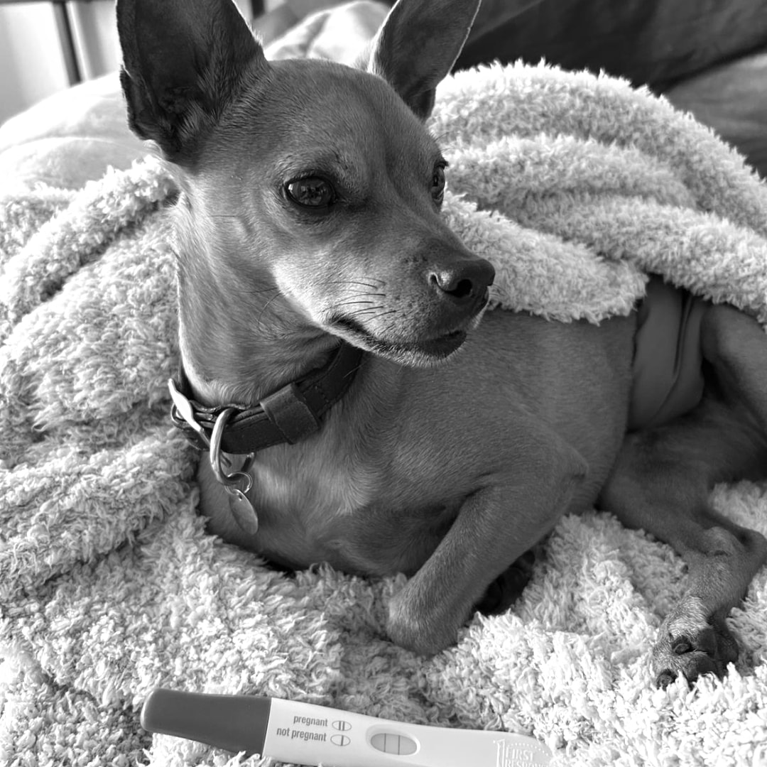 Photo shared by Denise for their Babylist baby registry.