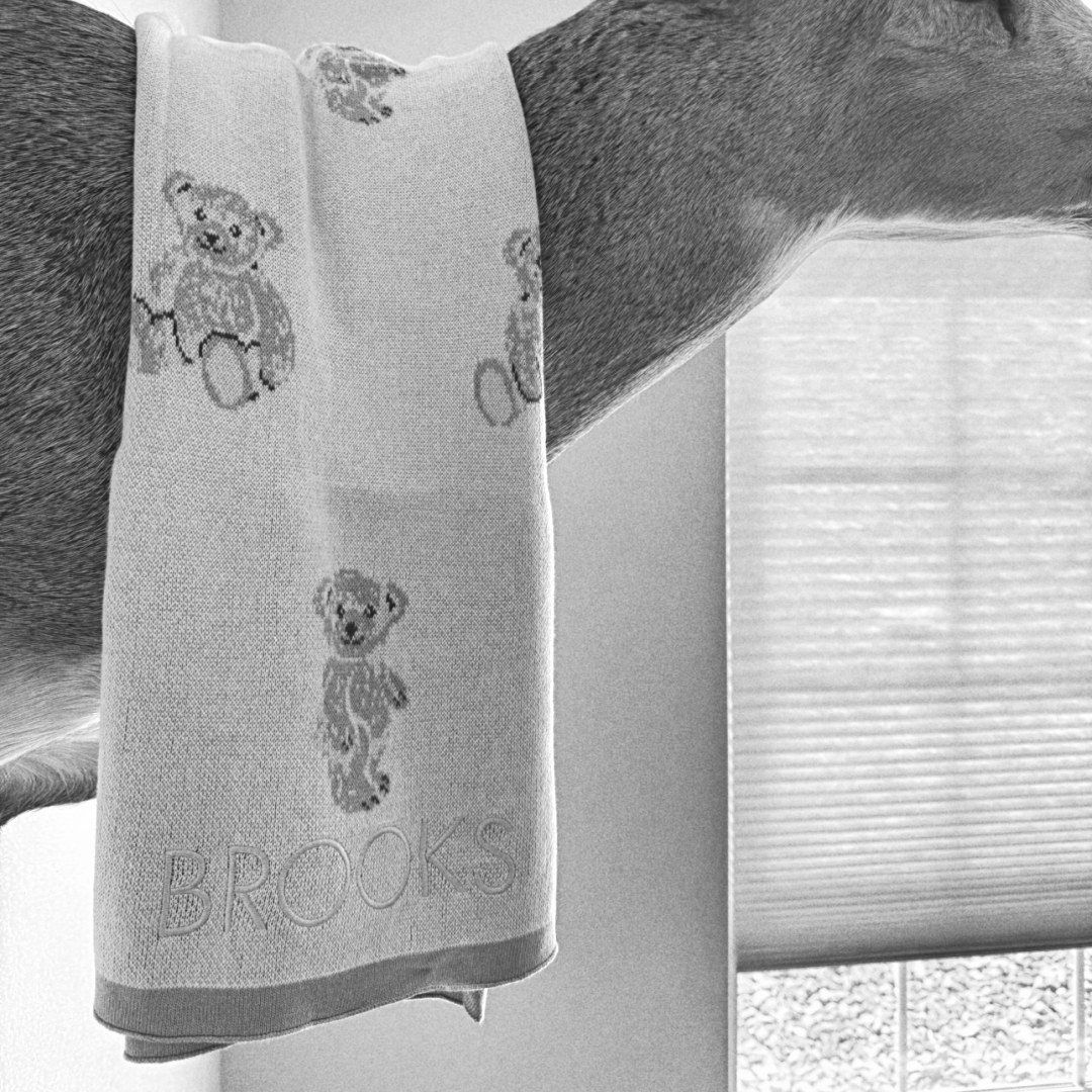 Photo shared by Lauren for their Babylist baby registry.