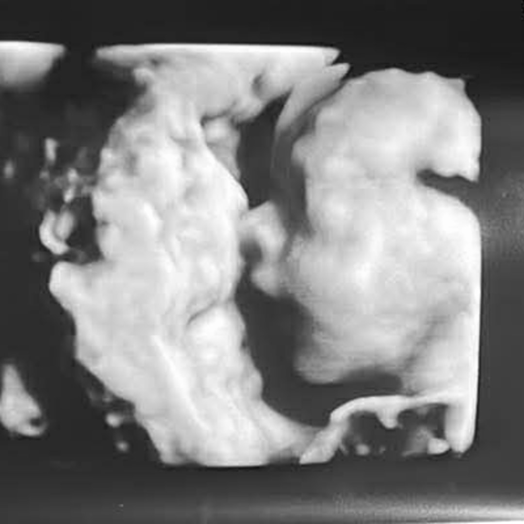 Photo shared by Destiny for their Babylist baby registry.