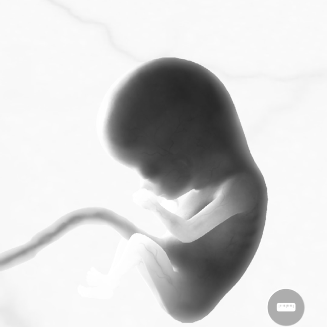 Photo shared by Carolyn for their Babylist baby registry.