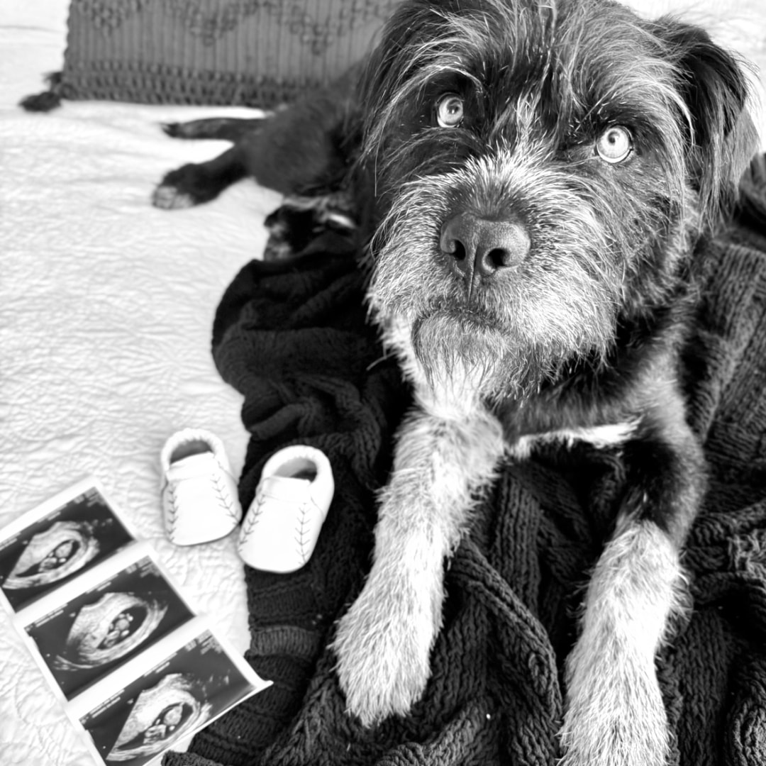 Photo shared by Sofy for their Babylist baby registry.