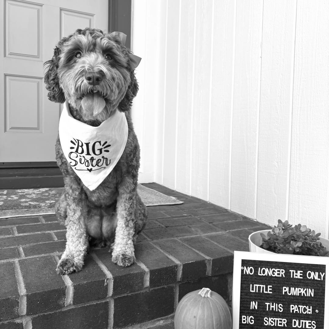 Photo shared by Hasit for their Babylist baby registry.