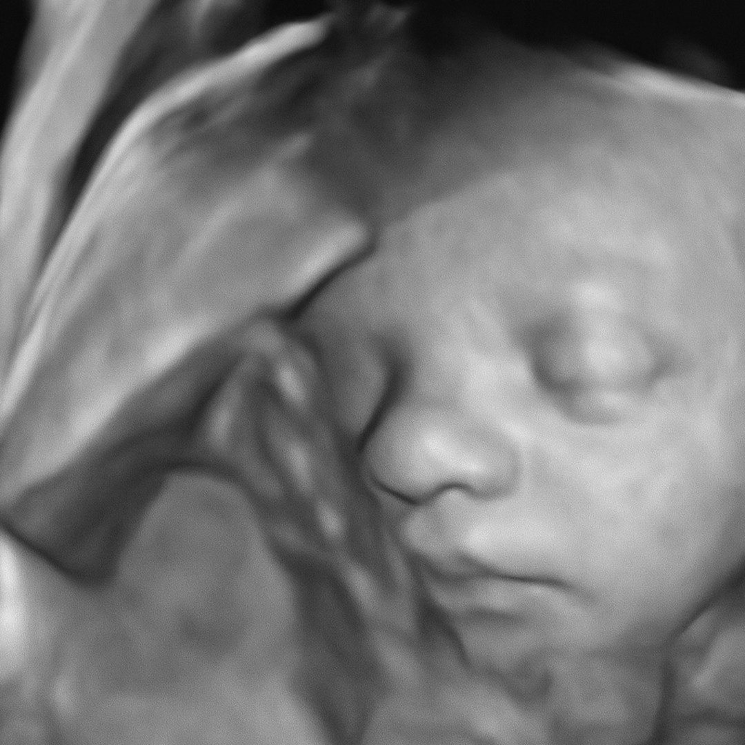 Photo shared by Sarah for their Babylist baby registry.