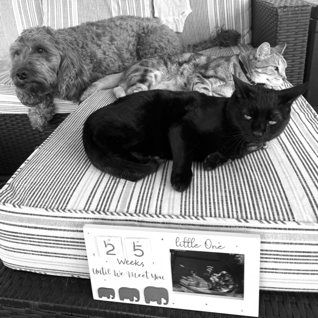 Photo shared by Lauren for their Babylist baby registry.