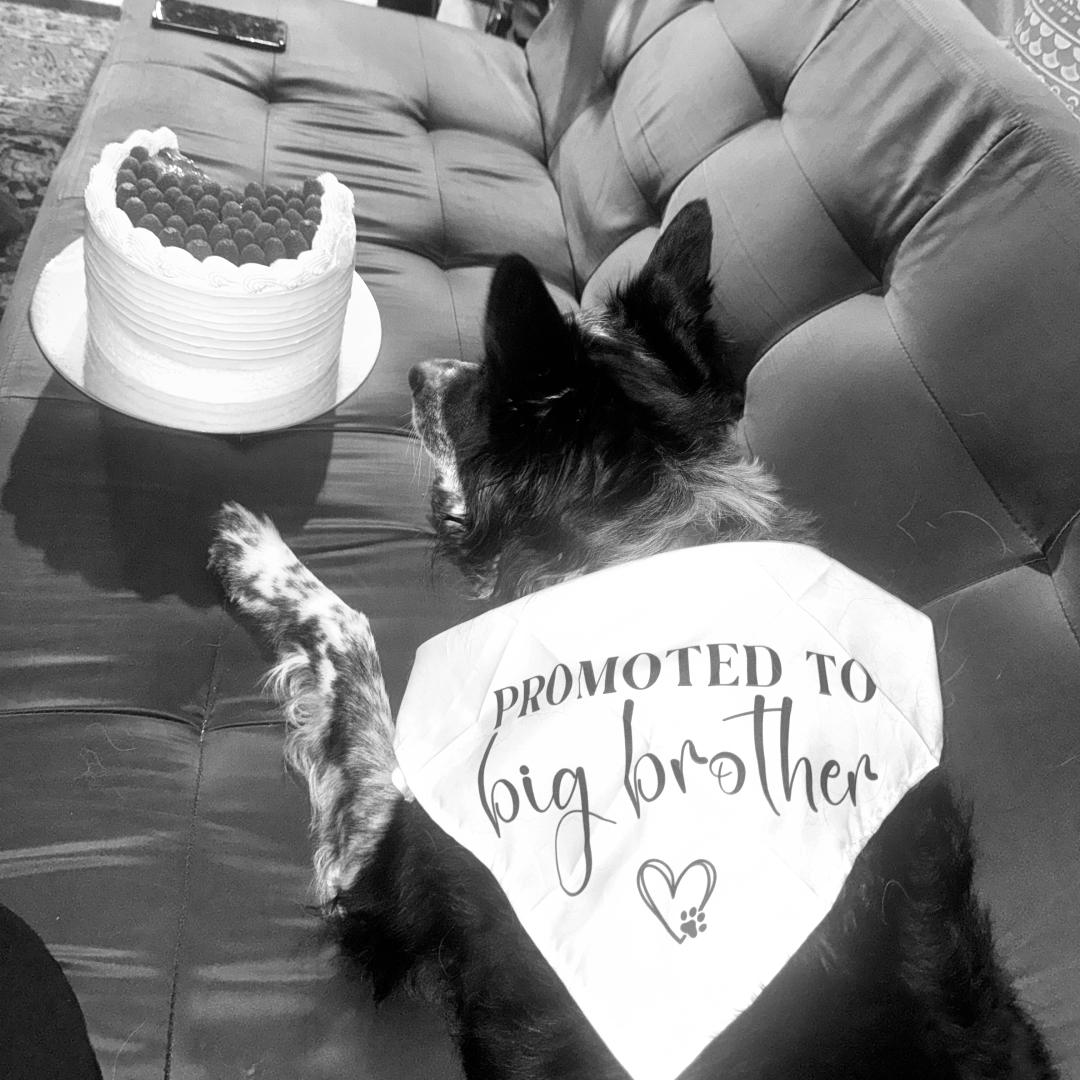 Photo shared by Angie and Jean for their Babylist baby registry.