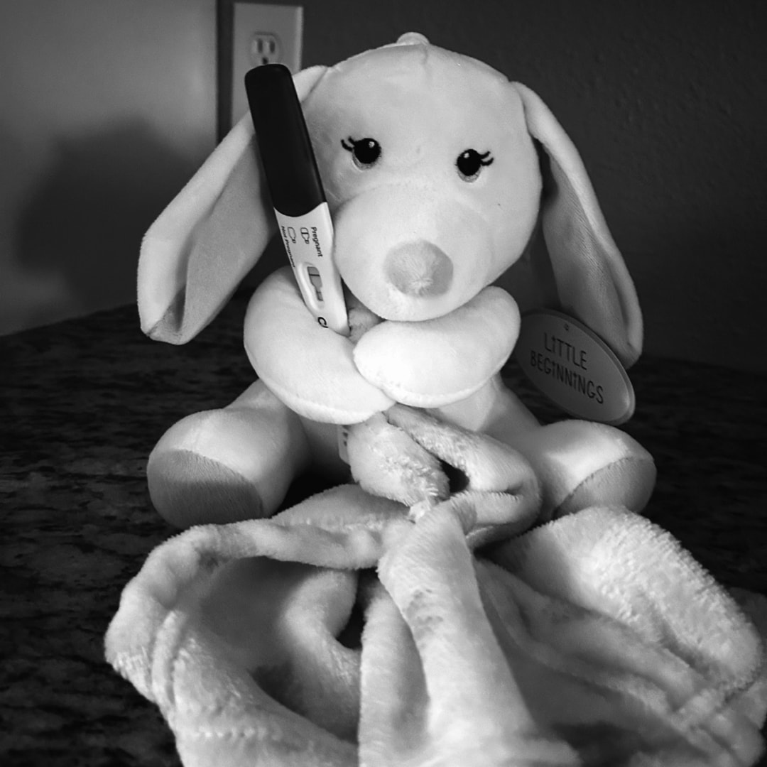 Photo shared by Carlee for their Babylist baby registry.