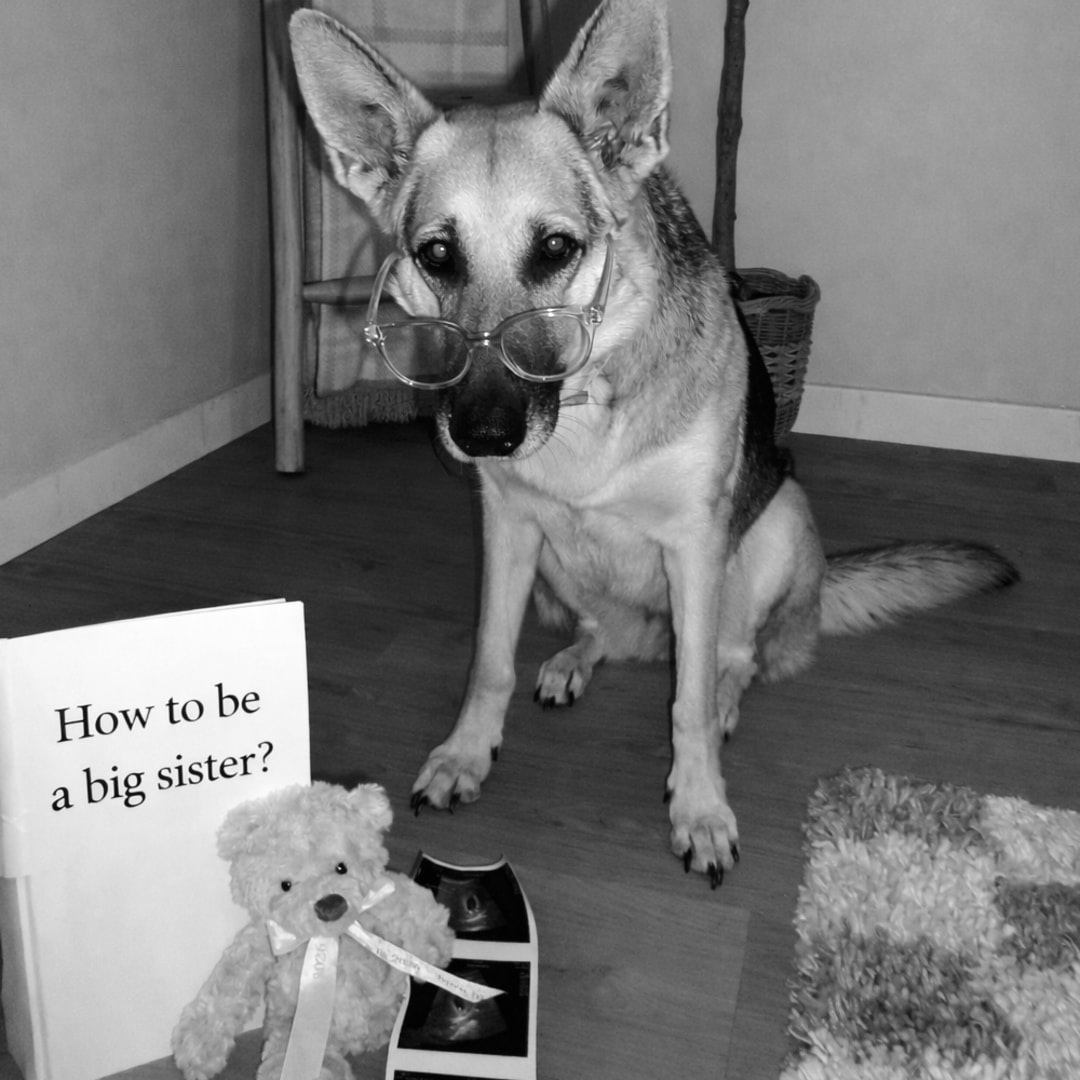 Photo shared by Kaylie for their Babylist baby registry.