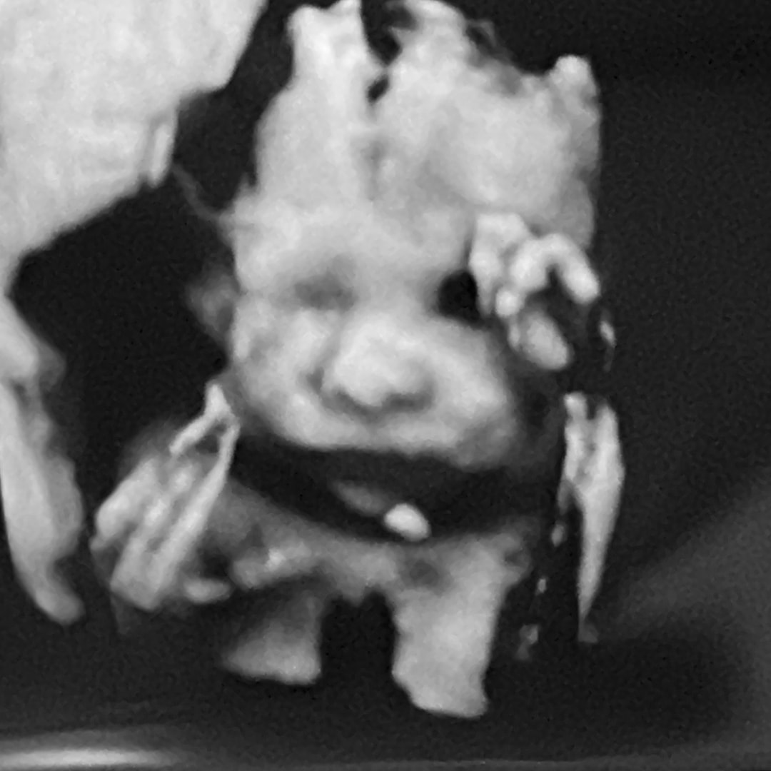 Photo shared by Johi for their Babylist baby registry.