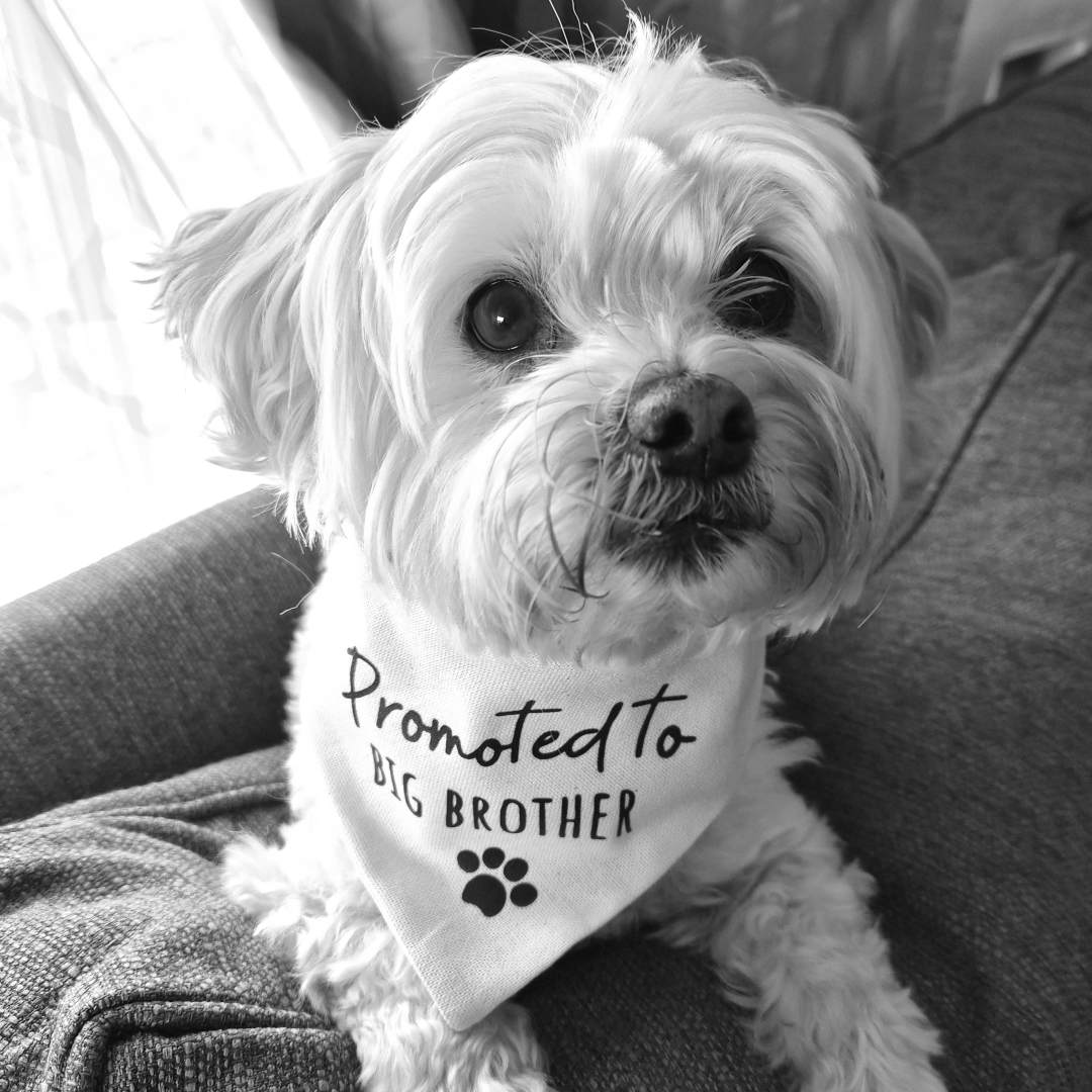 Photo shared by Mayra for their Babylist baby registry.