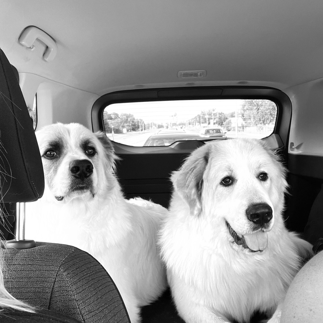 Photo shared by Maddy for their Babylist baby registry.