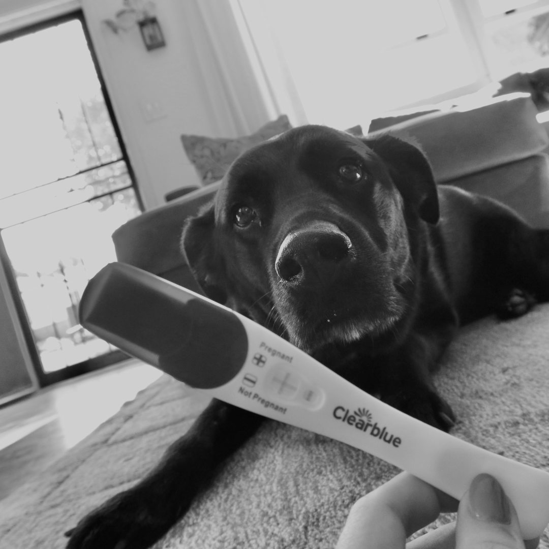 Photo shared by Bailey for their Babylist baby registry.