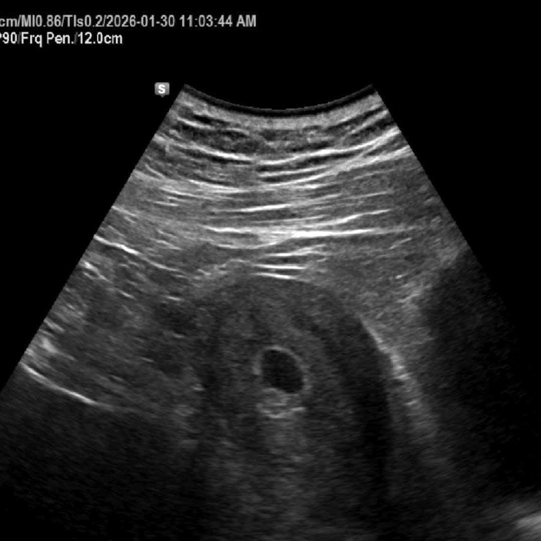 Photo shared by Haylie for their Babylist baby registry.