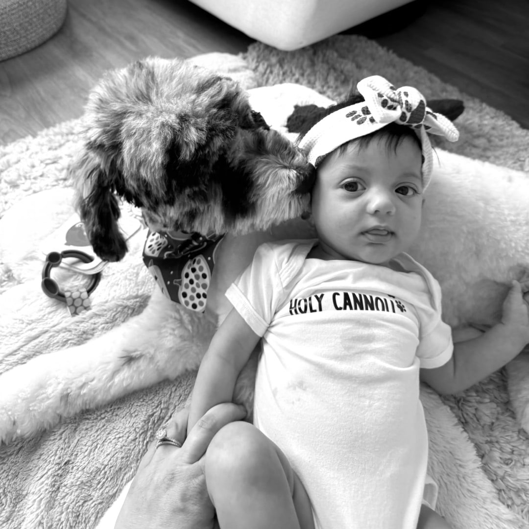 Photo shared by Lauren for their Babylist baby registry.