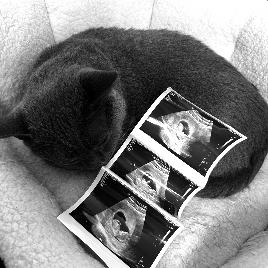 Photo shared by Adria for their Babylist baby registry.