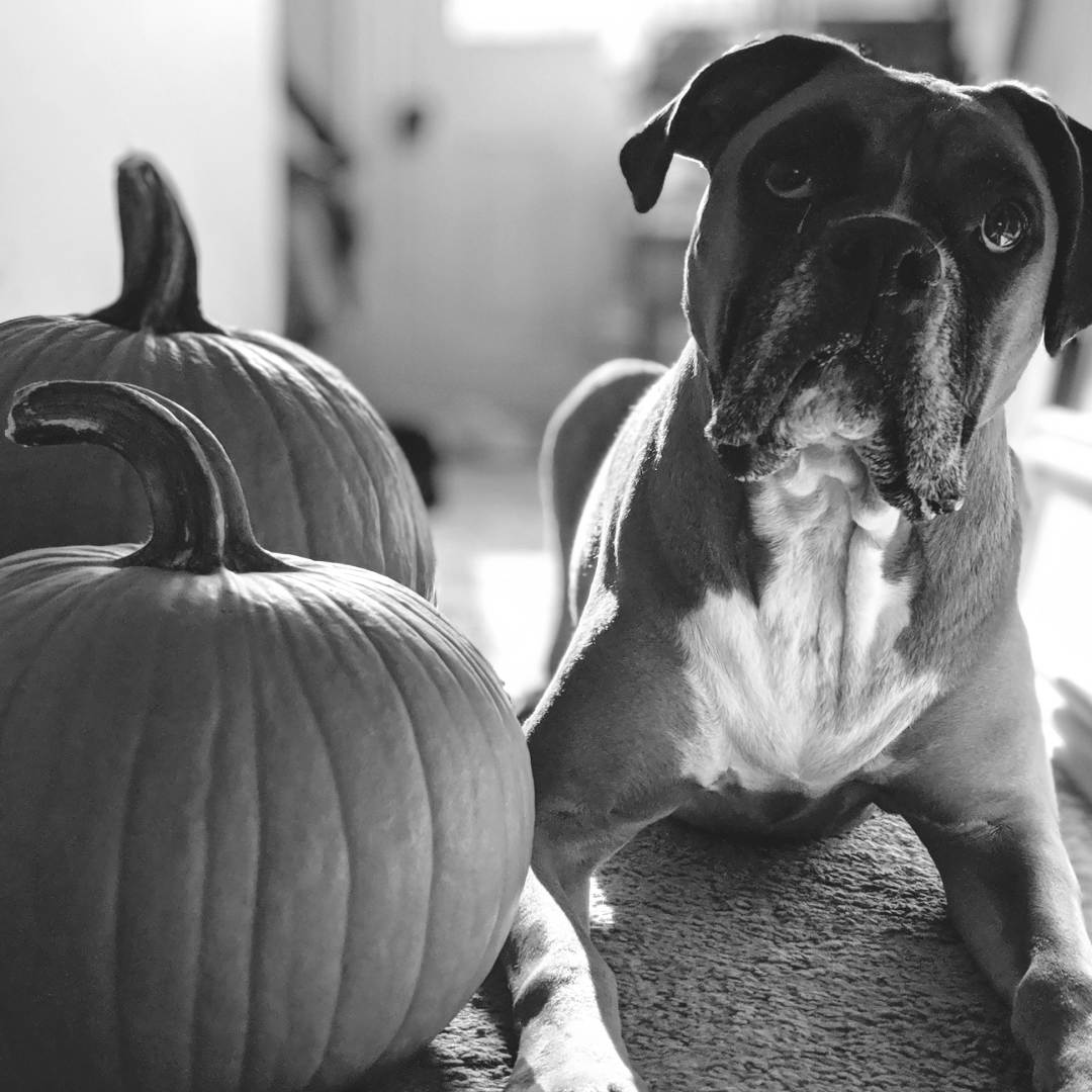 Photo shared by Sarah for their Babylist baby registry.