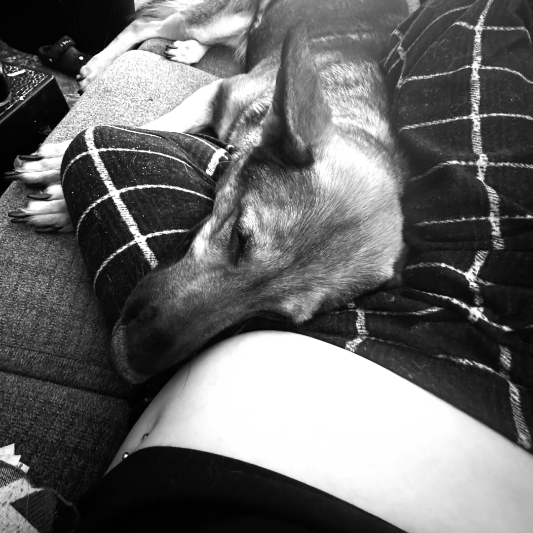 Photo shared by Kbree for their Babylist baby registry.