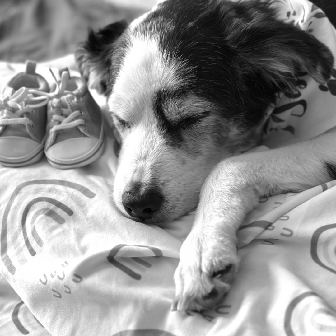 Photo shared by Amanda for their Babylist baby registry.