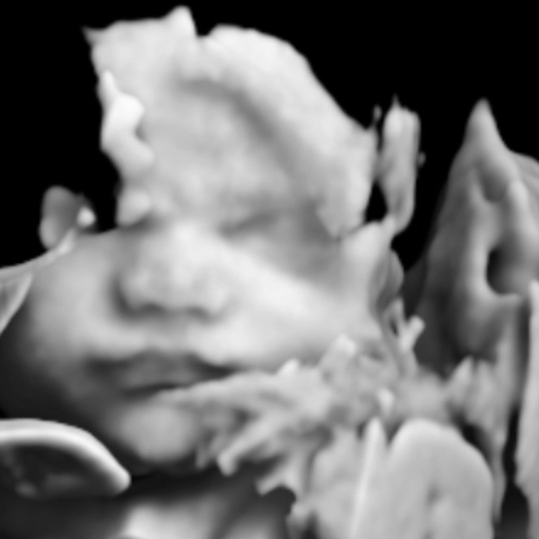 Photo shared by Michaela for their Babylist baby registry.