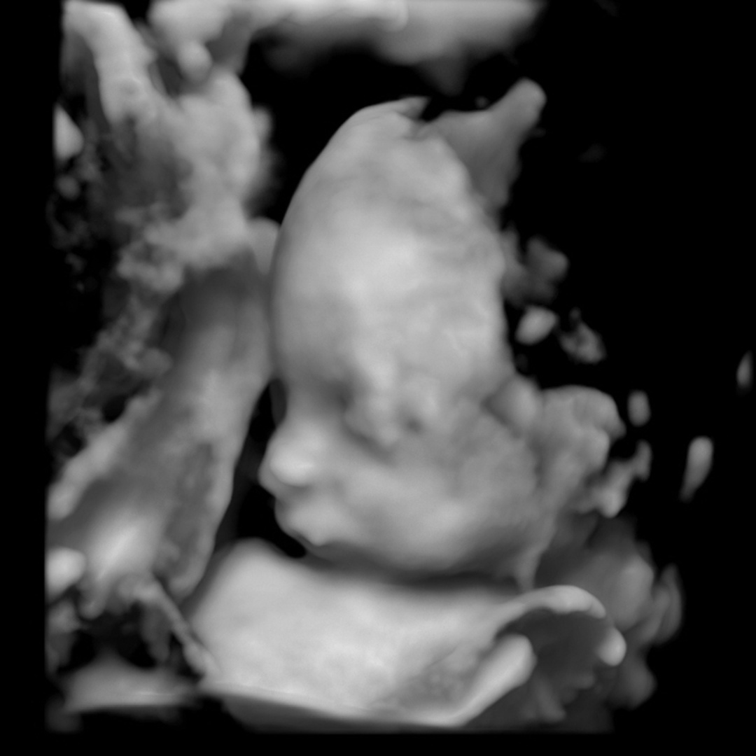 Photo shared by Samantha for their Babylist baby registry.