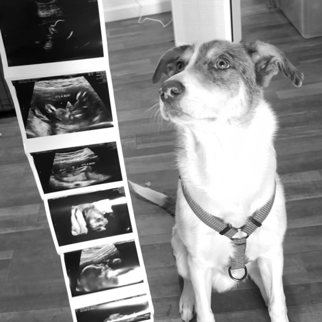 Photo shared by Justyce for their Babylist baby registry.