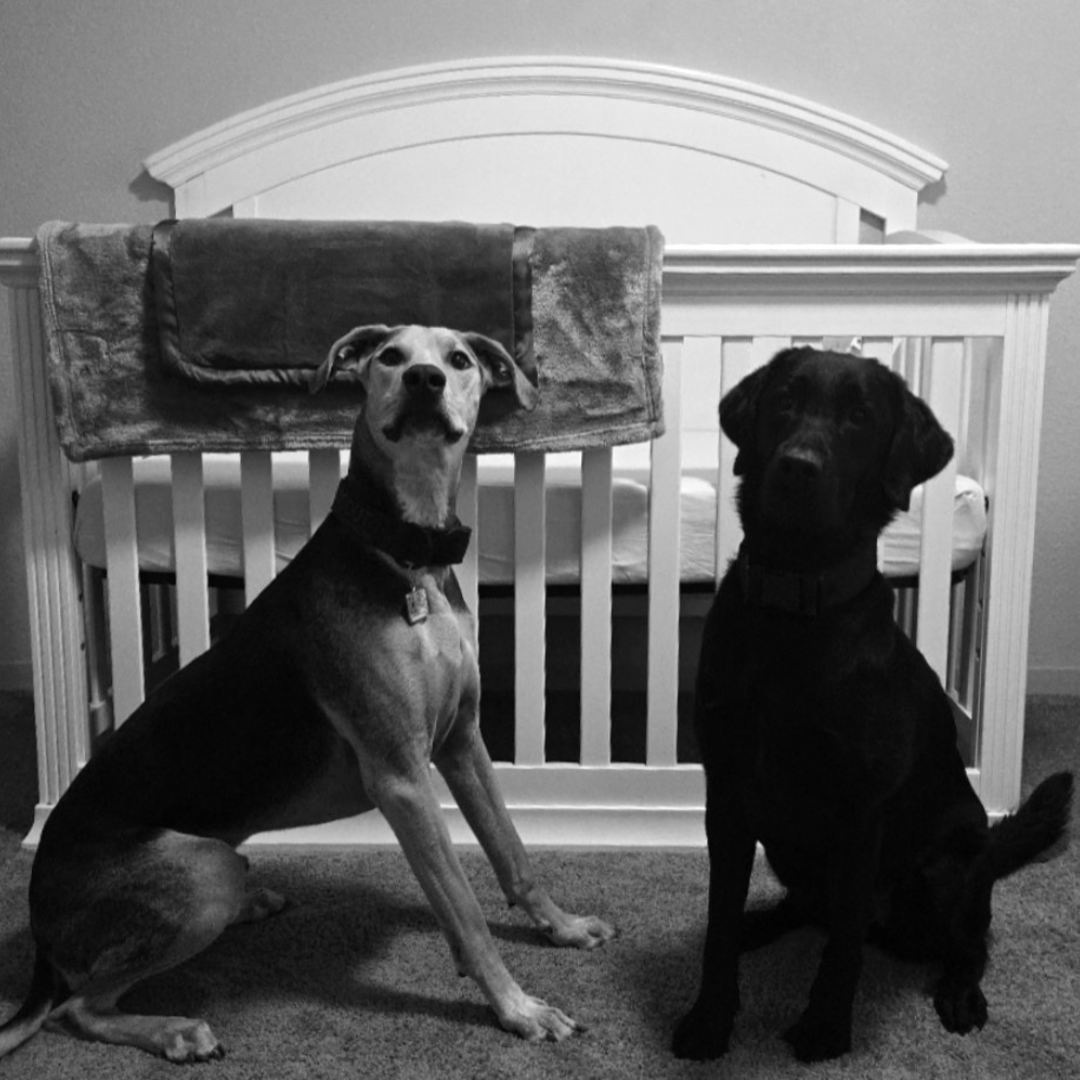 Photo shared by Yasmin for their Babylist baby registry.