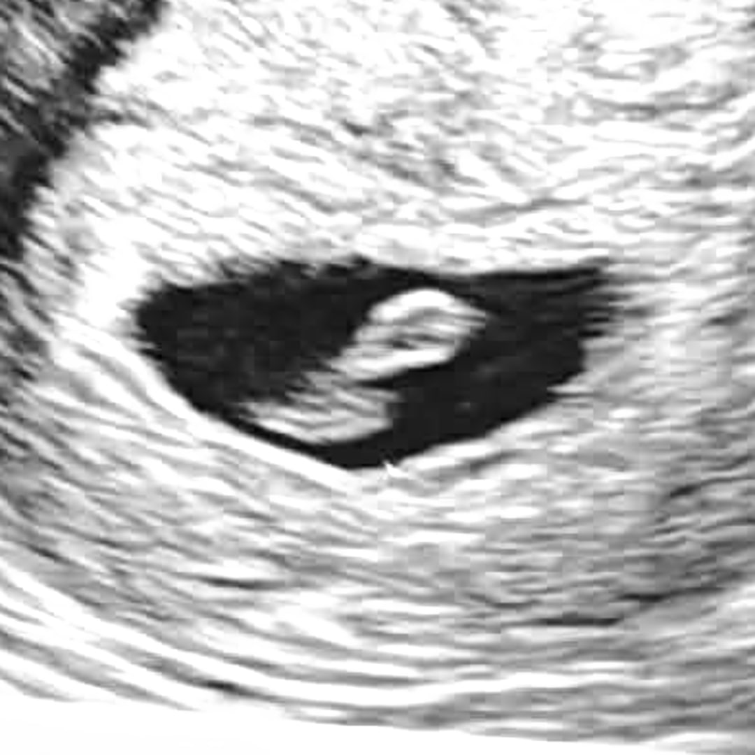 Photo shared by Celine for their Babylist baby registry.