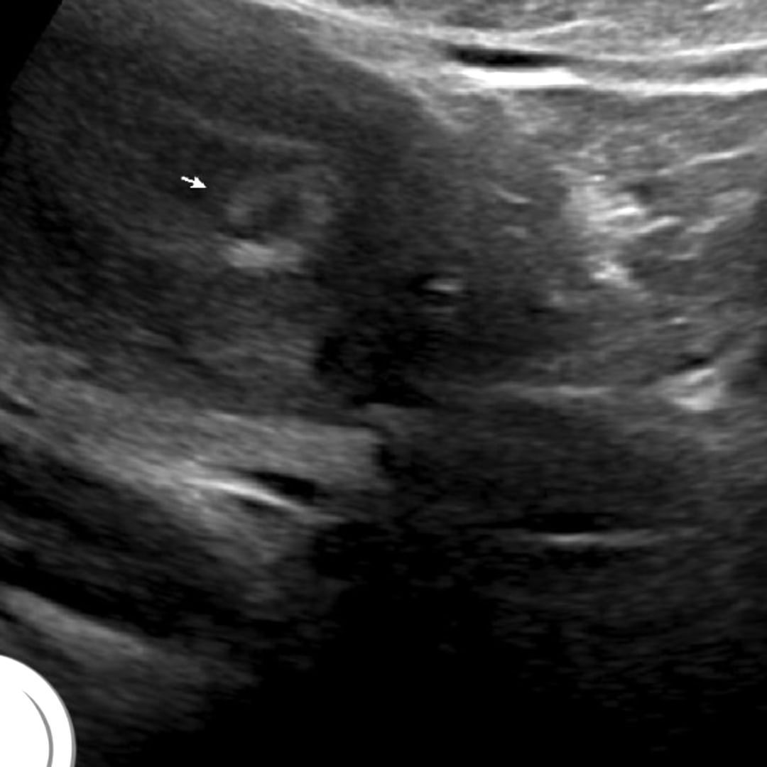 Photo shared by Gabrielle for their Babylist baby registry.