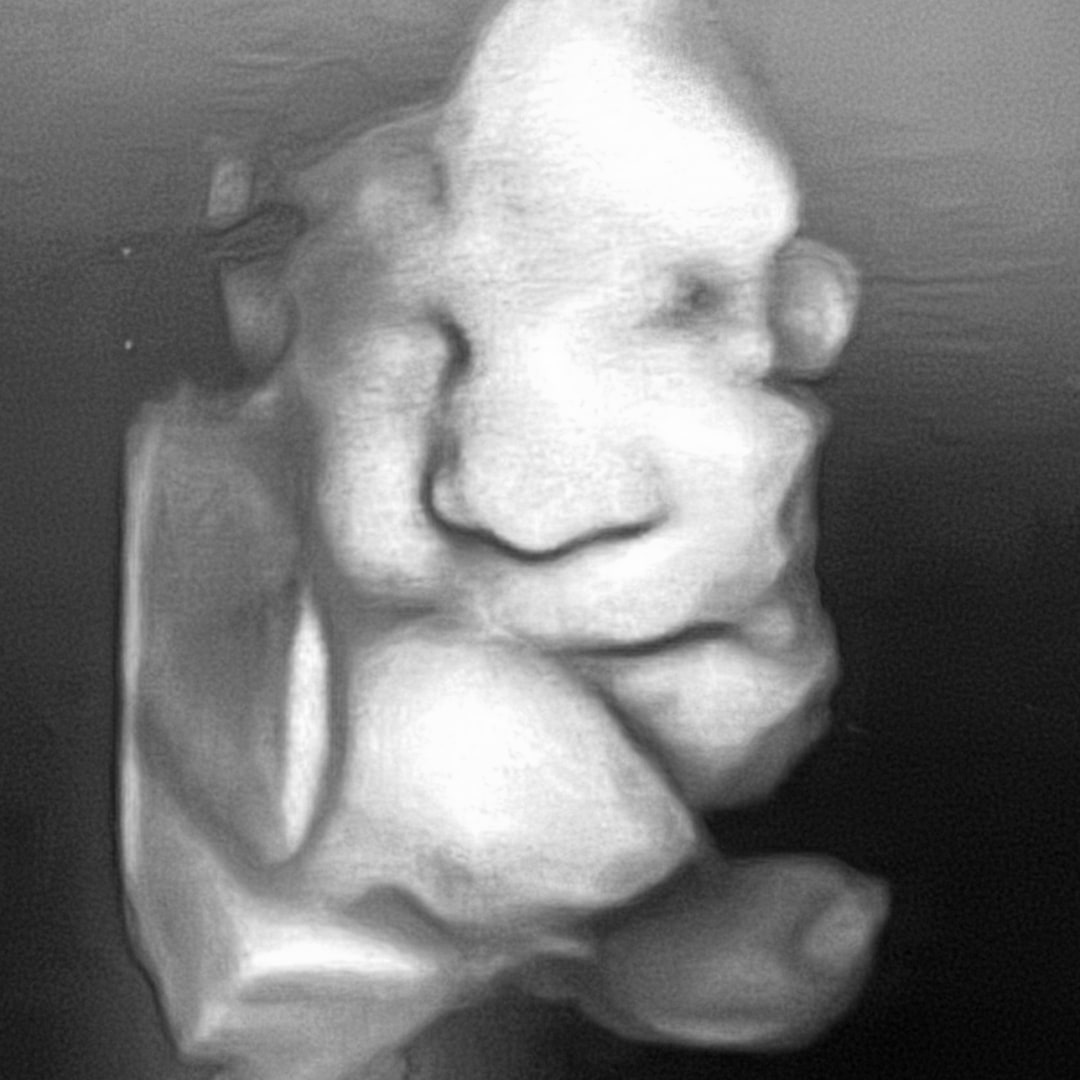 Photo shared by Victoria for their Babylist baby registry.