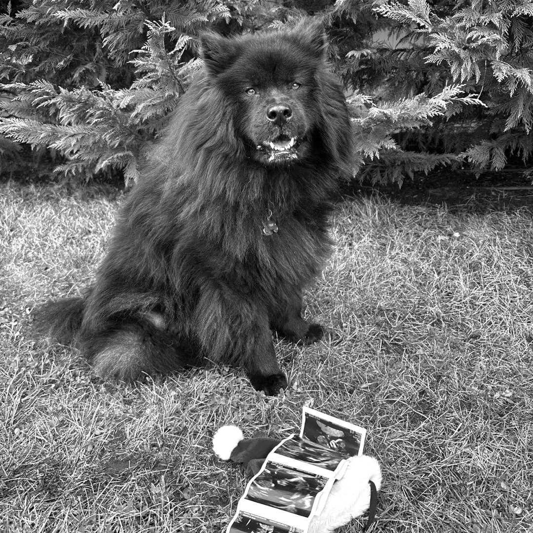 Photo shared by Maria for their Babylist baby registry.