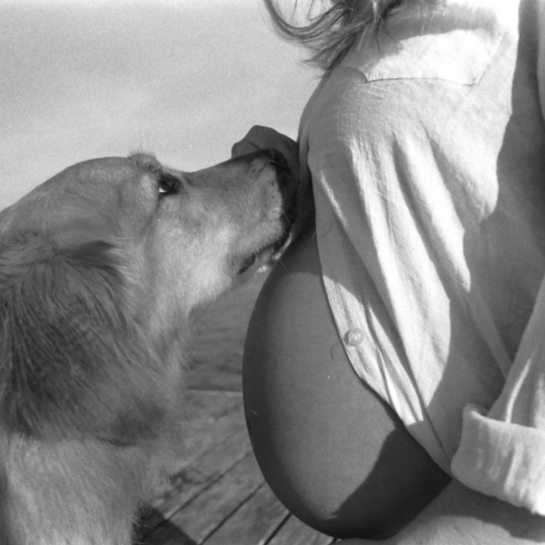 Photo shared by Lily for their Babylist baby registry.